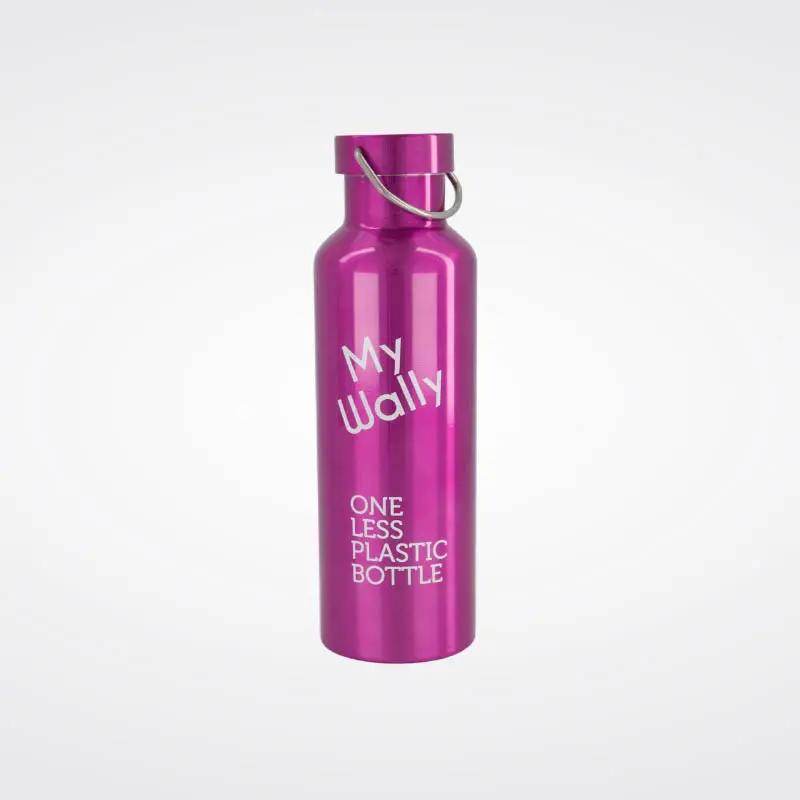 My Wally Stainless Steel Bottle - Pink